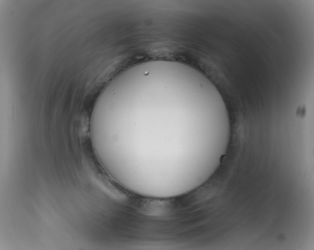 X0000113210081200910011330