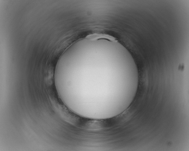 X0000113210082200910011330