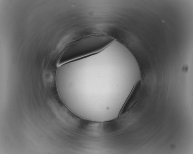 X0000113210084200910011330