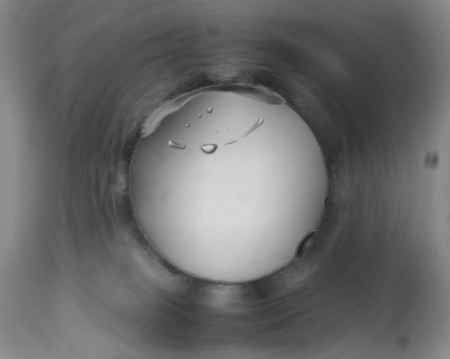 X0000113210085200910011330