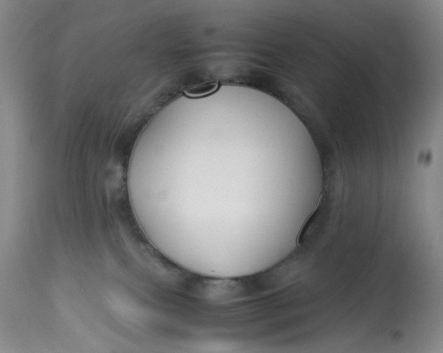 X0000113210087200910011330