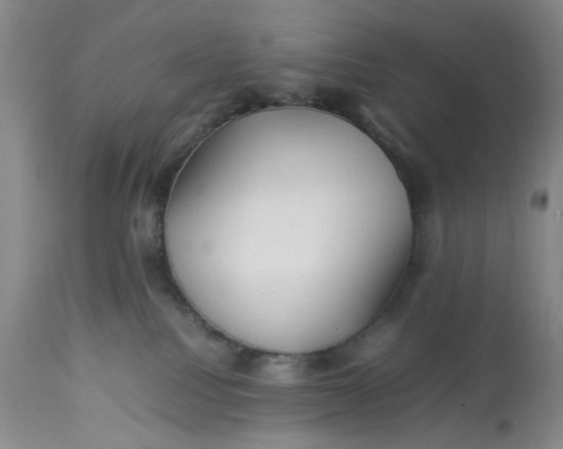 X0000113210088200910011330