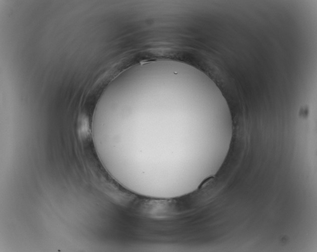 X0000113210089200910011330