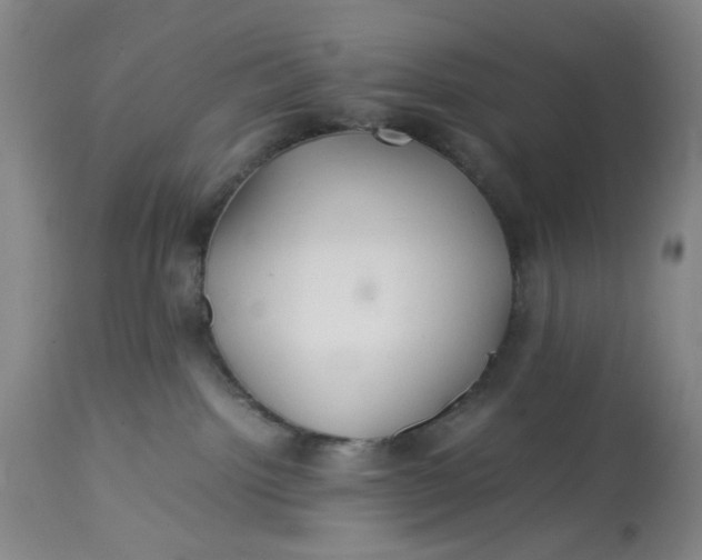 X0000113210092200910011330