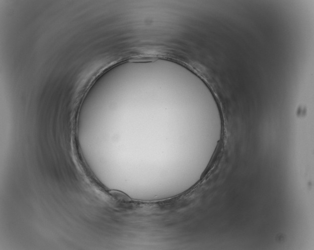 X0000113210097200910011330