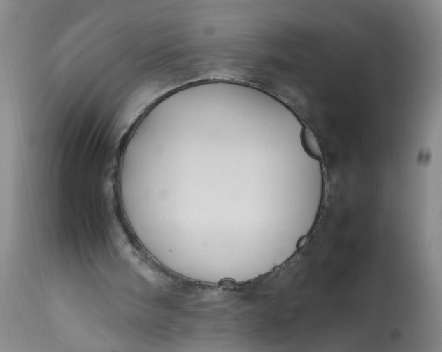 X0000113210098200910011330