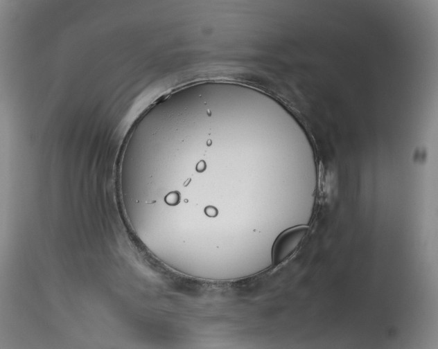 X0000113210099200910011330