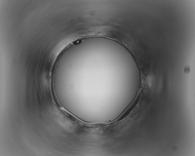 X0000113210100200910011330