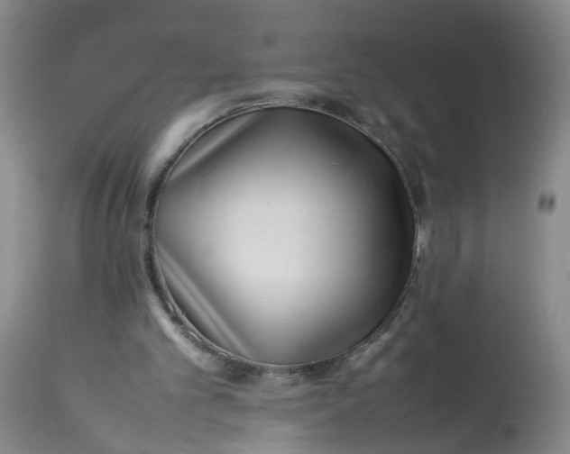 X0000113210101200910011330