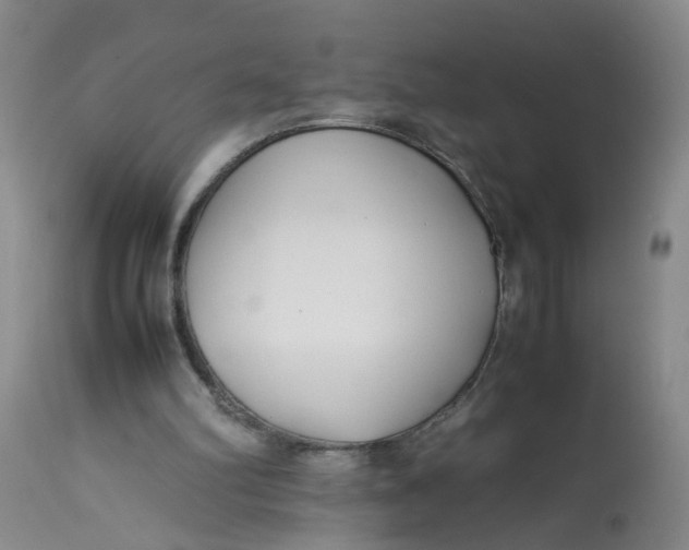 X0000113210102200910011330