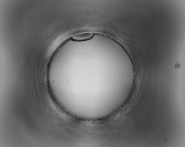 X0000113210103200910011330