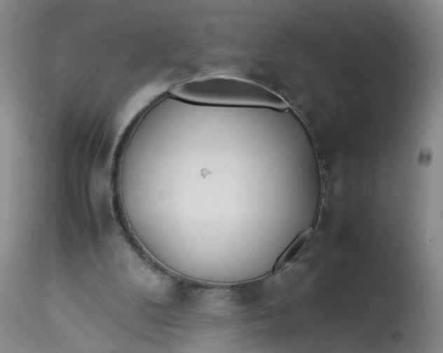 X0000113210104200910011330