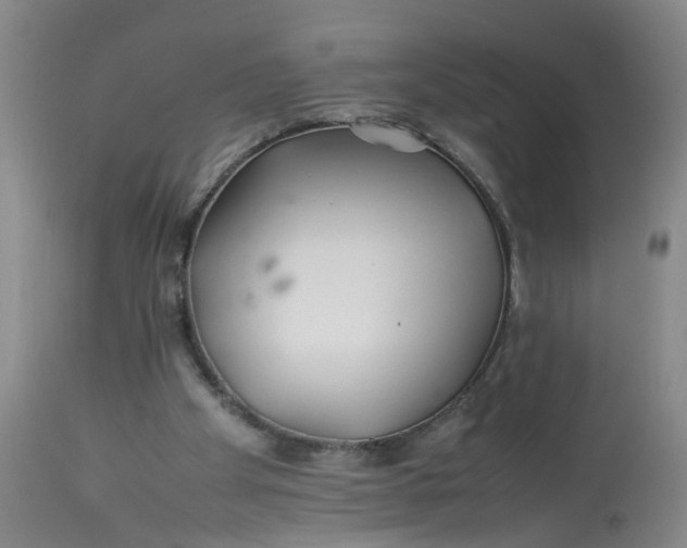 X0000113210105200910011330