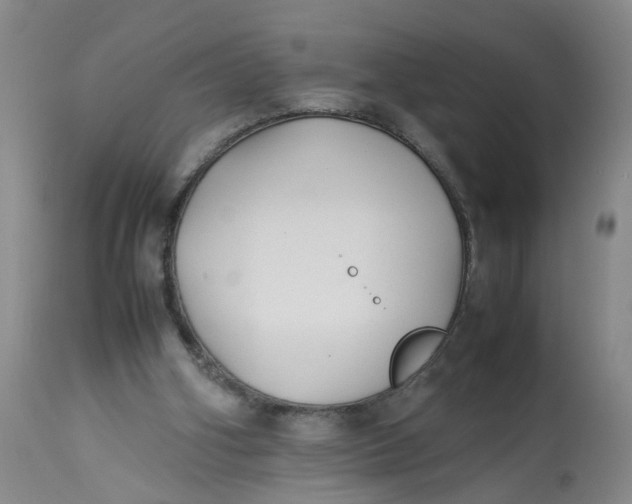 X0000113210106200910011330