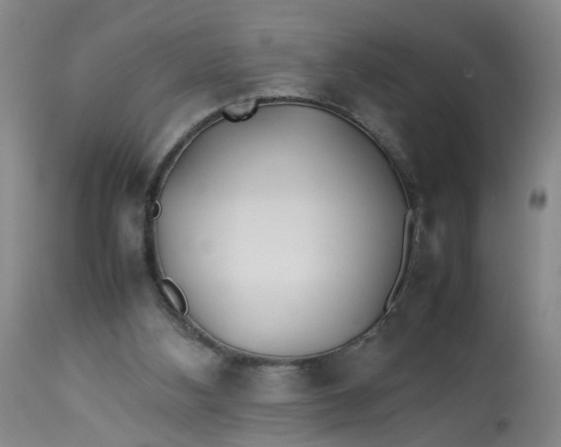 X0000113210108200910011330