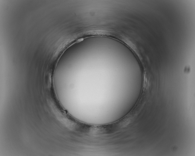 X0000113210109200910011330