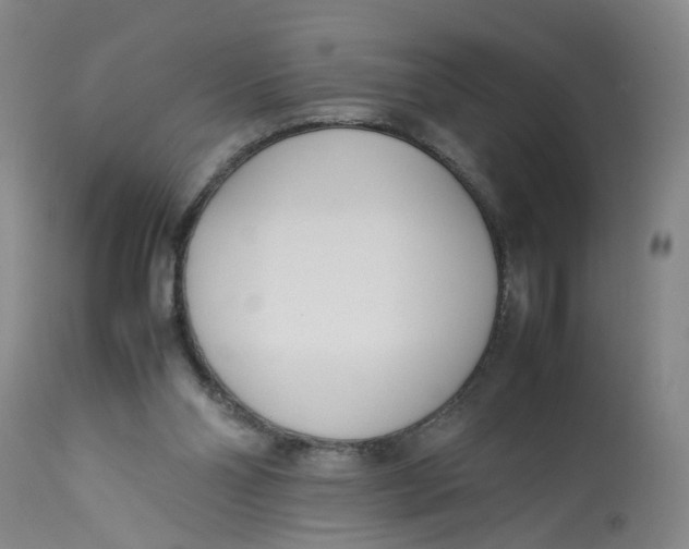 X0000113210110200910011329