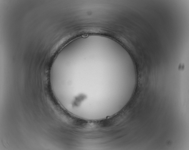 X0000113210111200910011329