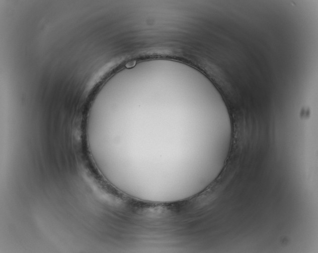 X0000113210112200910011329