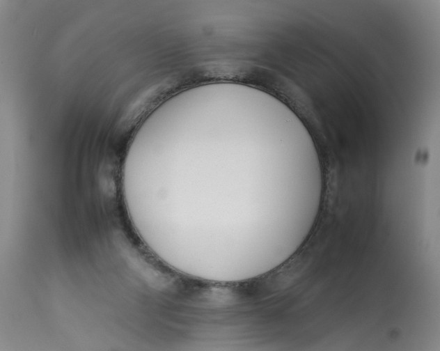 X0000113210114200910011329