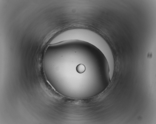 X0000113210116200910011329