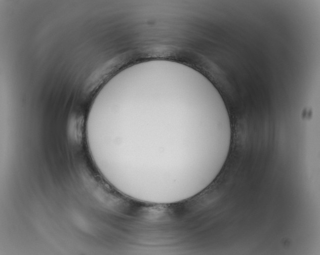 X0000113210118200910011329