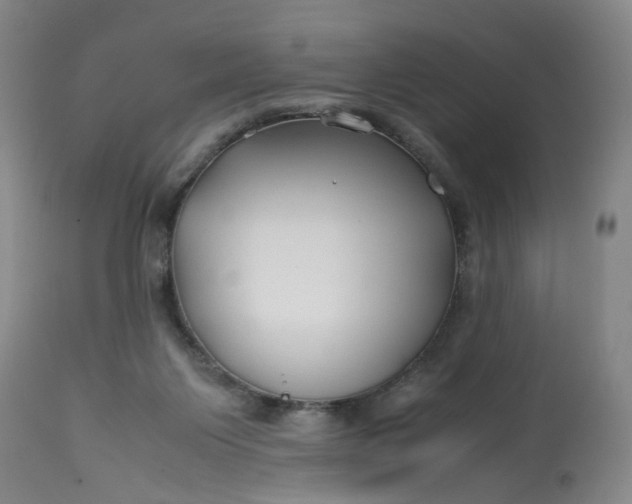 X0000113210119200910011329