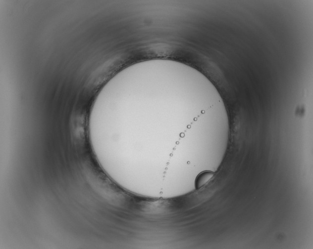 X0000113210122200910011329