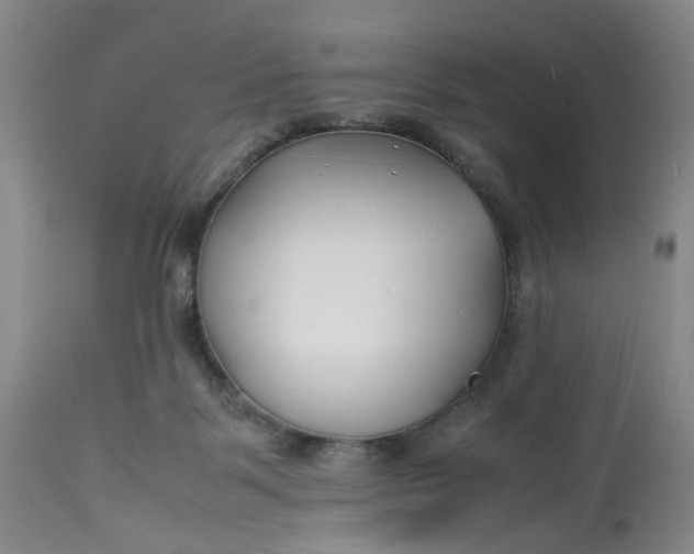 X0000113210123200910011329