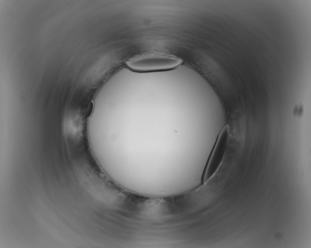 X0000113210124200910011329