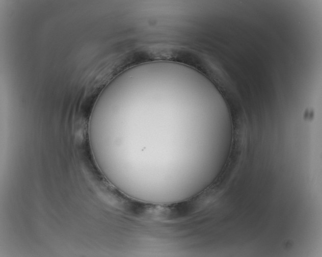 X0000113210125200910011329