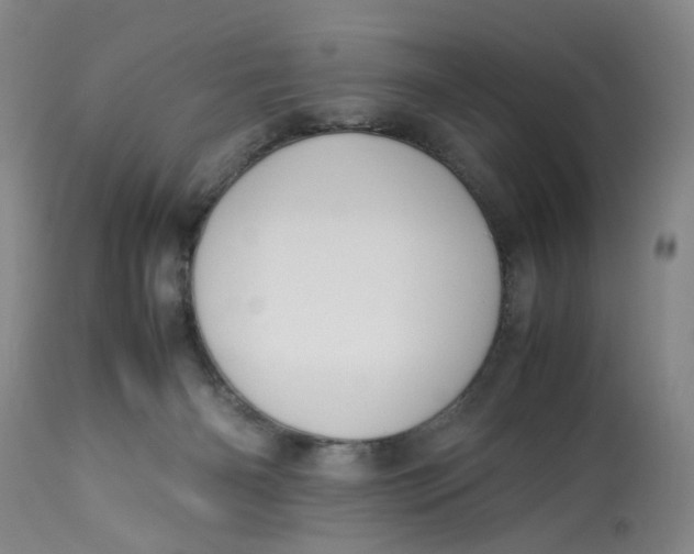 X0000113210126200910011329