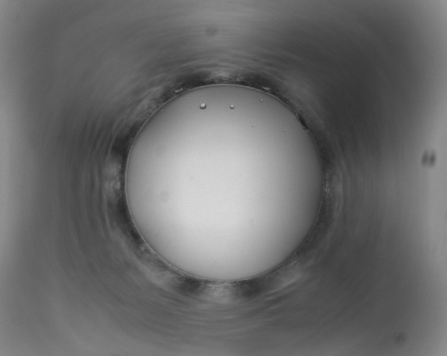 X0000113210127200910011329