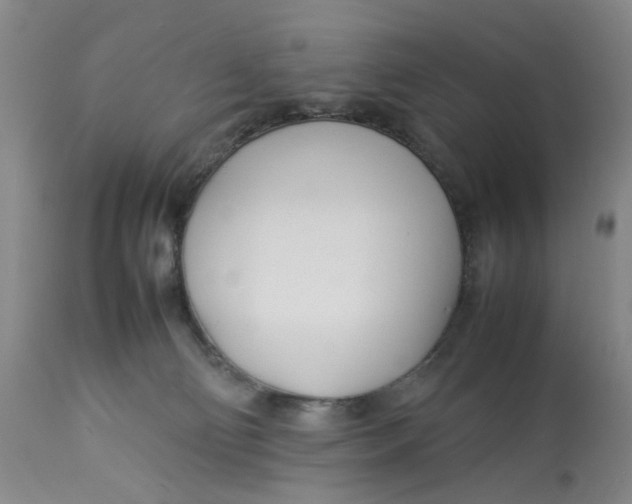 X0000113210130200910011329