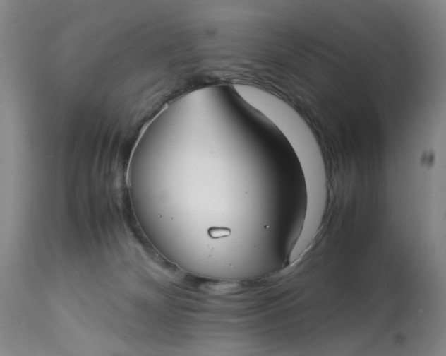 X0000113210132200910011329