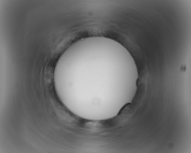 X0000113210133200910011329