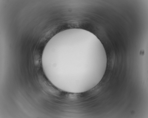 X0000113210134200910011329