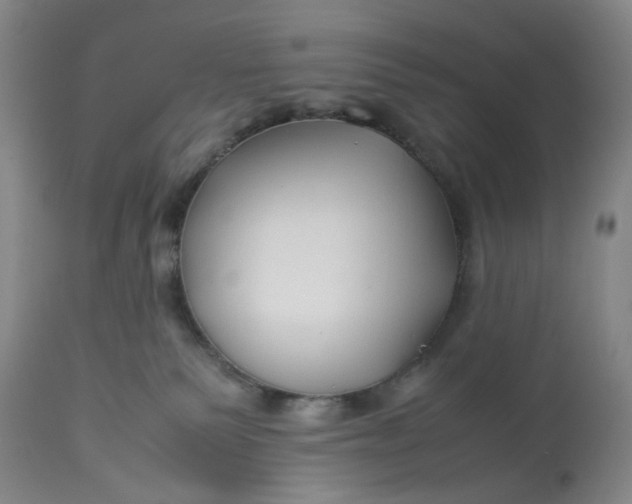 X0000113210135200910011329