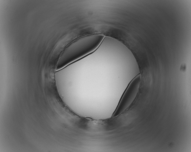 X0000113210137200910011329