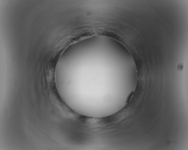 X0000113210139200910011329