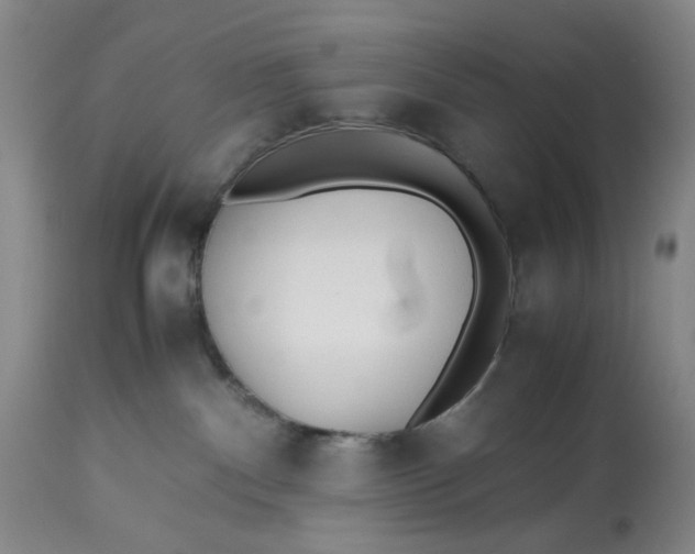 X0000113210140200910011329