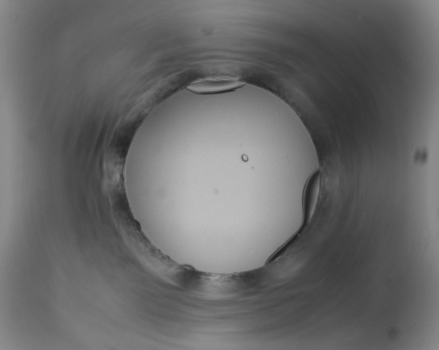 X0000113210141200910011329