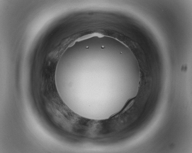 X0000113210143200910011329