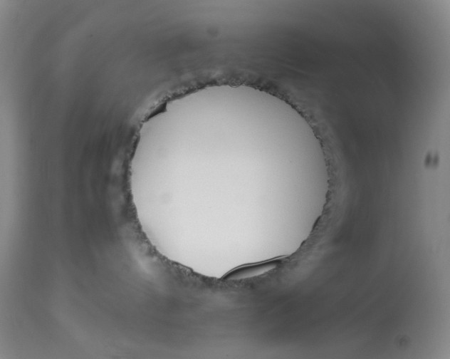 X0000113210144200910011329