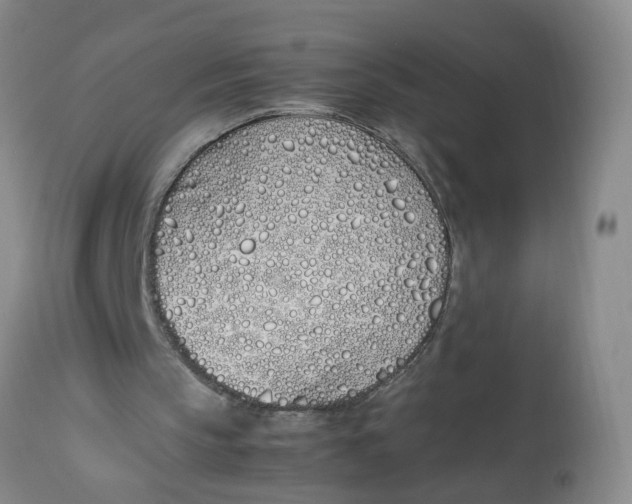 X0000113210145200910011328