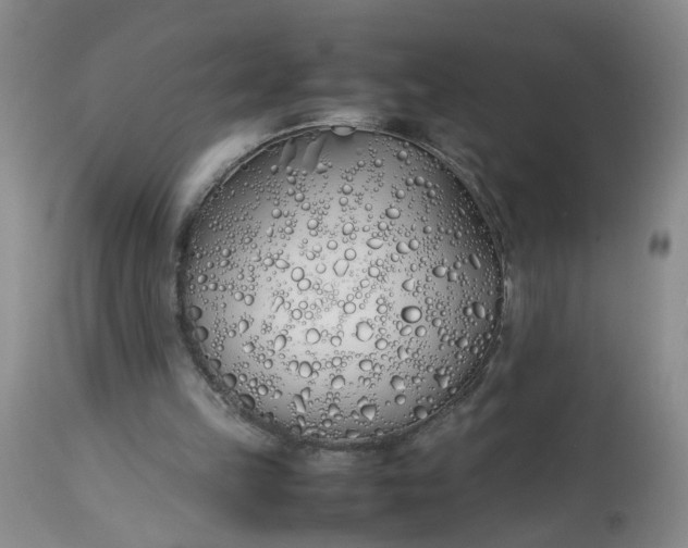 X0000113210149200910011328