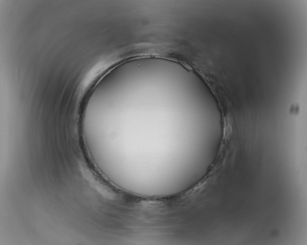 X0000113210150200910011328