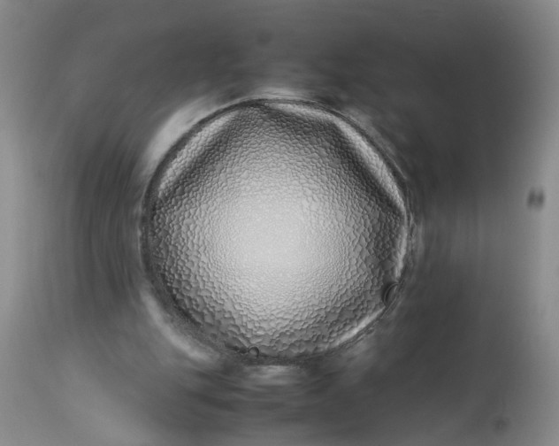 X0000113210151200910011328