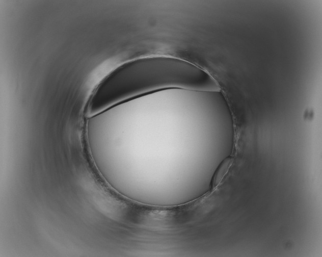 X0000113210152200910011328