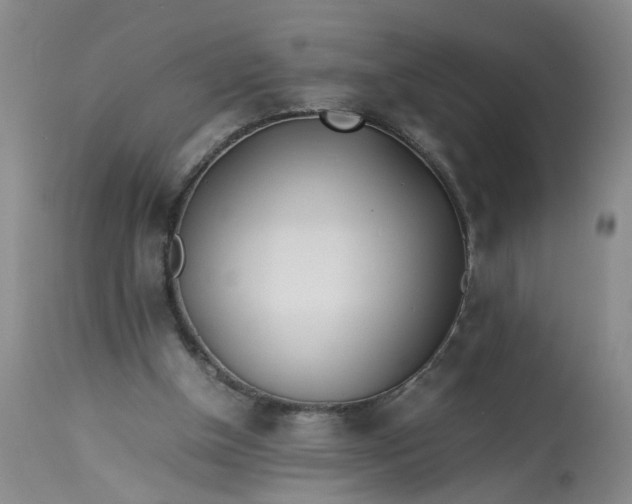 X0000113210154200910011328